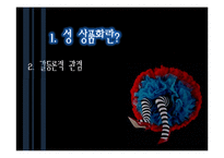 [사회문제론] 미디어에 나타나는 `소녀`들의 성 상품화-9