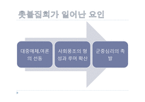 [사회학] 집합행동과 사회운동-광우병 소고기 반대 시위 `촛불집회` 고찰-4