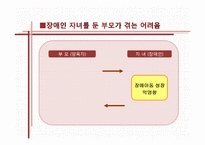 [지역사회복지] 장애인 자녀를 둔 부모를 위한 사회복지 프로그램-6