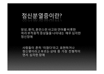 [임상심리학] 정신분열증 증상, 유형, 원인-3
