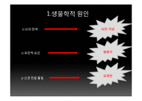 [임상심리학] 정신분열증 증상, 유형, 원인-8