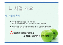 [사업계획서] 과일 바 BAR 사업(생과일 쥬스, 도시락, 주류, 안주)-4
