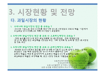 [사업계획서] 과일 바 BAR 사업(생과일 쥬스, 도시락, 주류, 안주)-11