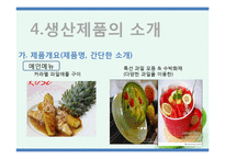 [사업계획서] 과일 바 BAR 사업(생과일 쥬스, 도시락, 주류, 안주)-18