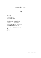 일본 대중문화의 이해-코스튬 플레이-2