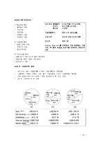 [경영학원론] 손정의, 마쓰시타 고노스케, 잭 웰치의 리더십과 경영관-16