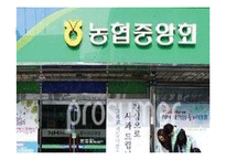 [비교정치론] 7장. 거버넌스와 사회자본-13