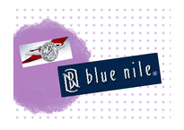 [e비즈니스] 국내외 전자상거래 소매업의 서비스 사례 분석-Blue Nile, ZIPCAR, Open Table, Jobkorea-3