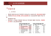 [경영전략] 소나타의 SWOT분석 및 향후 전략과 대안-6