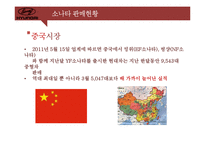 [경영전략] 소나타의 SWOT분석 및 향후 전략과 대안-9