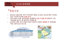 [경영전략] 소나타의 SWOT분석 및 향후 전략과 대안-10