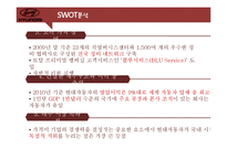[경영전략] 소나타의 SWOT분석 및 향후 전략과 대안-13
