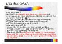 [전자상거래] 소셜커머스 사이트의 남미시장 진출 전략-3