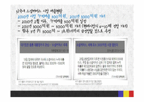 [전자상거래] 소셜커머스 사이트의 남미시장 진출 전략-12