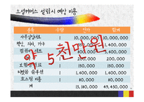 [전자상거래] 소셜커머스 사이트의 남미시장 진출 전략-15