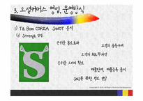 [전자상거래] 소셜커머스 사이트의 남미시장 진출 전략-18