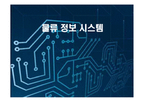 [물류관리] 항만 물류 운영 정보 시스템의 발전방안-1