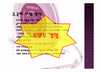 [국제경영] 코메론(KOMELON)의 국제경영 전략과 성공이유 분석-12