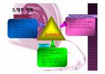 [국제경영] 코메론(KOMELON)의 국제경영 전략과 성공이유 분석-19