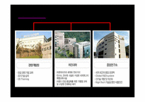 [물류관리론] 치킨 유통 프로세스 분석-프랜차이즈 치킨과 `통큰치킨` 비교-8