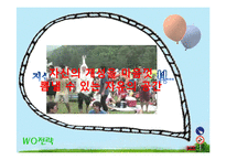 [마케팅] 지산 밸리 락 페스티벌의 SWOT, STP 전략 분석-13