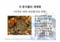 세계화의 생태계 영향과 생태보호를 위한 세계의 노력 사례-10