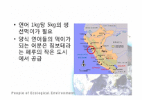 세계화의 생태계 영향과 생태보호를 위한 세계의 노력 사례-14