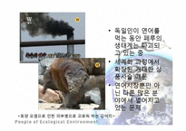 세계화의 생태계 영향과 생태보호를 위한 세계의 노력 사례-17