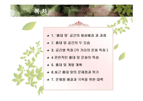 [지리학] 홍대 앞 공간 분석-거리 문화를 중심으로-2