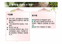 [지리학] 홍대 앞 공간 분석-거리 문화를 중심으로-6