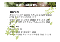 [지리학] 홍대 앞 공간 분석-거리 문화를 중심으로-10