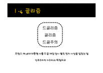 [유럽지역연구] 골리즘과 드골의 유럽관-7
