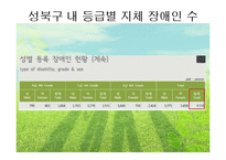 [지역사회복지] 지체 장애인의 이동권 보장-8