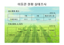 [지역사회복지] 지체 장애인의 이동권 보장-15