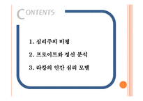 [현대문학의 이해] 심리주의 비평-프로이트와 라캉의 이론-2