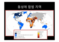 동성애에 대한 갈등론, 기능론, 상징적상호작용론적 관점 고찰-19