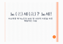 [사회복지] 저소득층 독거노인의 보호 및 사회적 지원 사업 프로그램 개발-1