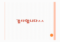 [사회복지] 저소득층 독거노인의 보호 및 사회적 지원 사업 프로그램 개발-13