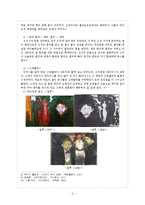 [문학의 이해] 셰익스피어의 `오셀로`와 질투에 대하여-7