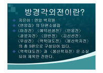 [국문학사] 실학파 문학과 박지원의 문학적 성취-5