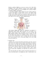 [생명의 이해] 생명체(인체)의 기능-암과 순환계-4