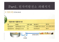 [자연공학] 원자력 발전소 현황과 원전 핵폐기물 처리 문제 고찰-8
