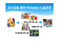 [보건학] 프탈레이트와 어린이 유해성과의 상관관계-7