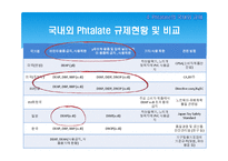 [보건학] 프탈레이트와 어린이 유해성과의 상관관계-10