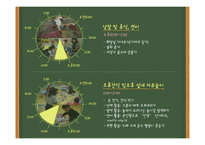 [보육학개론] 영아 보육 프로그램의 실제-7