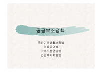 공공부조정책 ppt-1