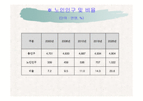 노인복지정책 ppt-8