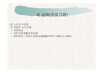 노인복지정책 ppt-10