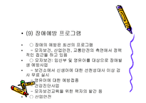 장애인복지정책 ppt-15