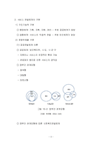 사회복지서비스 전달체계-3